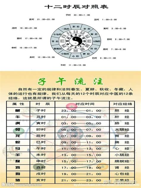 天支地支 姓名學 評分